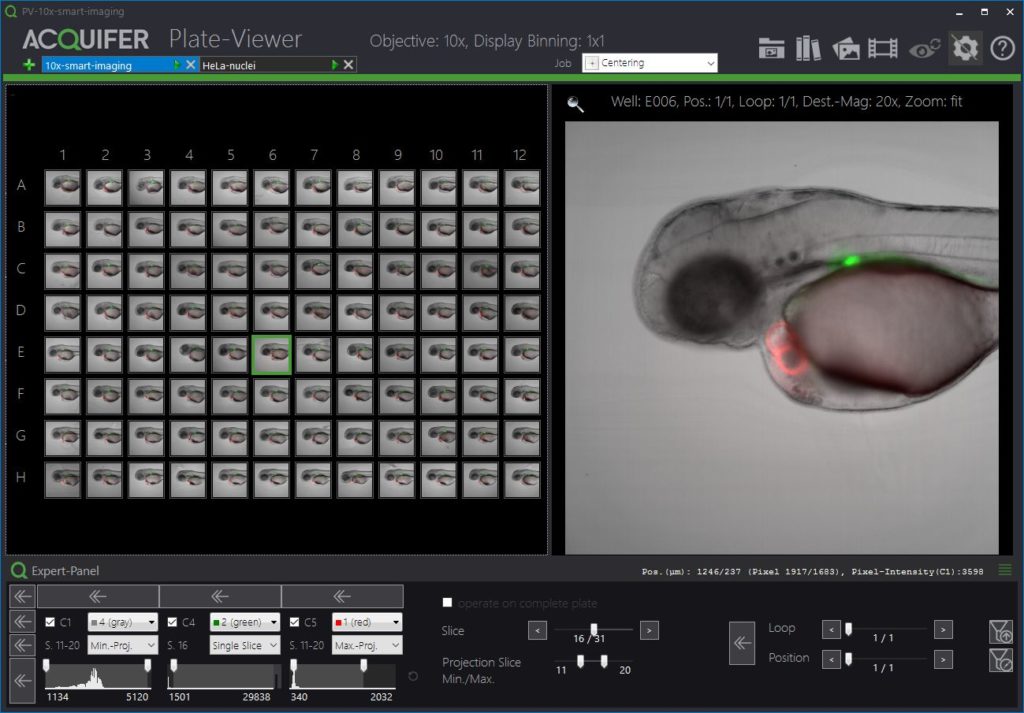 Screnshot of the Plate-Viewer