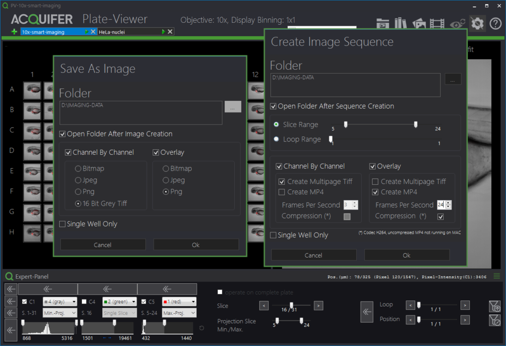 Export and conversion of image data