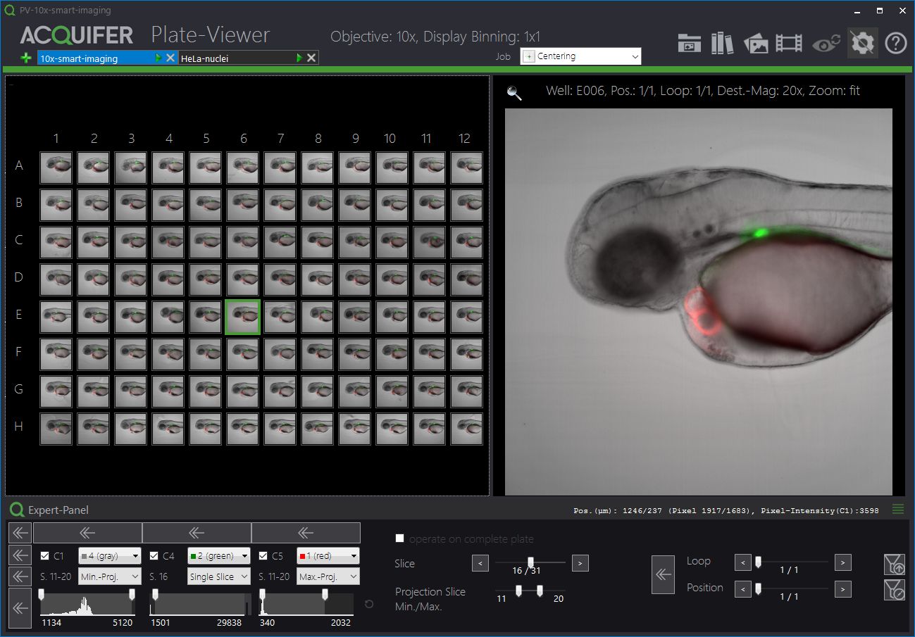 Screencapture of the Plate-Viewer