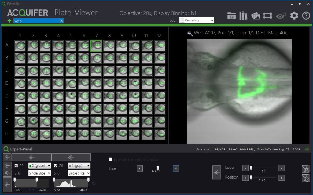 Laser ablation in the PlateViewer